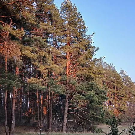 Zapach Lasu Naturalne Karwica, Klimatoterapia, Basen, Sauna A208 דירה Karwica