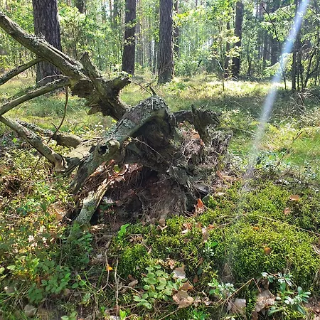 Apartment Zapach Lasu Naturalne Karwica, Basen, Sauna, Joga A208 Karwica